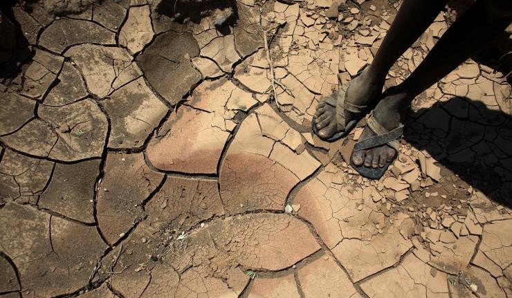 Human standing on dry or drought lands