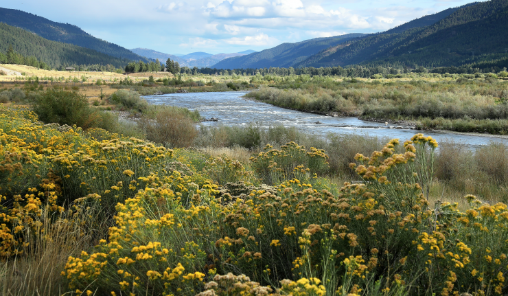 A winding river A winding river