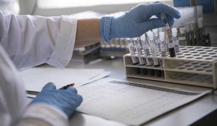 Test-tubes in a biological lab Test-tubes in a biological lab