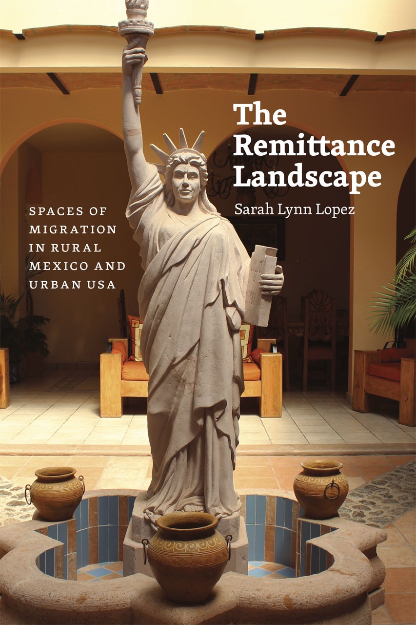 The Remittance Landscape Cover art