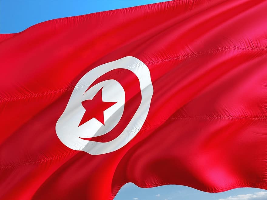 Tunisian Flag Waving Tunisian Flag Waving