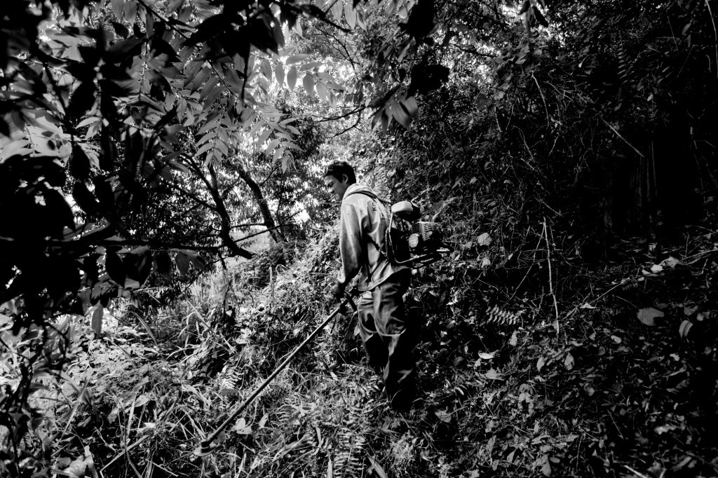 A Rohingya worker in the jungle trying to clear vegetation for future construction.