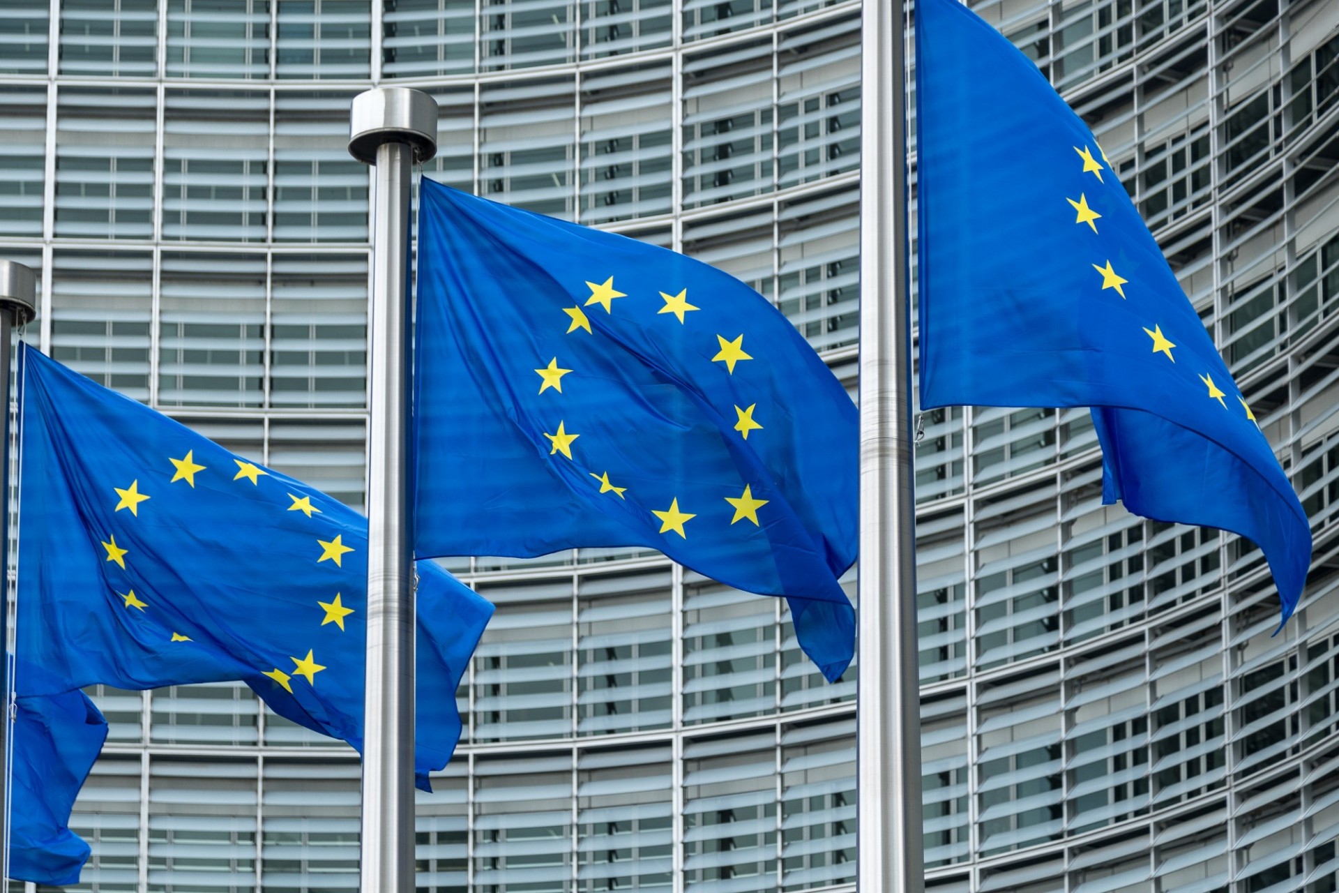 EU flags fly in the breeze