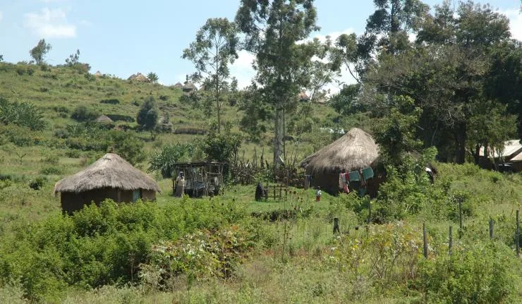 Indigenous carbon farming community in the Sahel