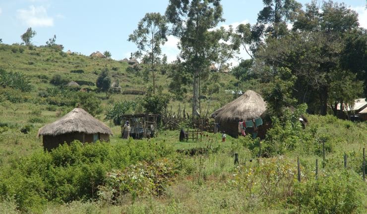 Indigenous carbon farming community in the Sahel