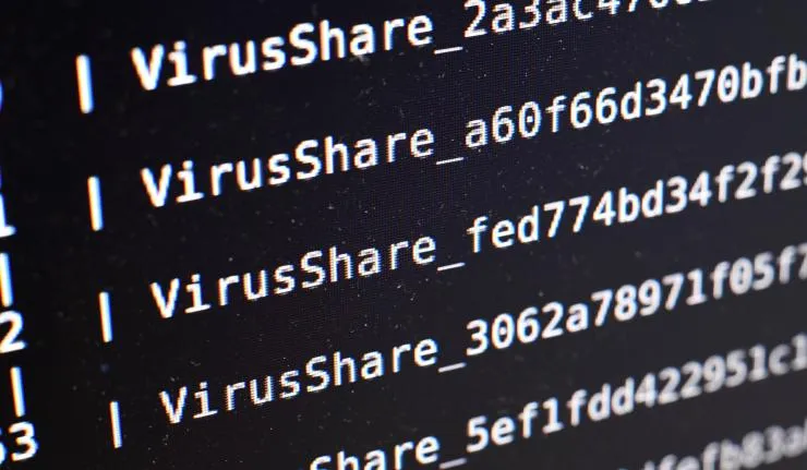 Close up of computer screen which appears to be a virus being installed through a command prompt browser