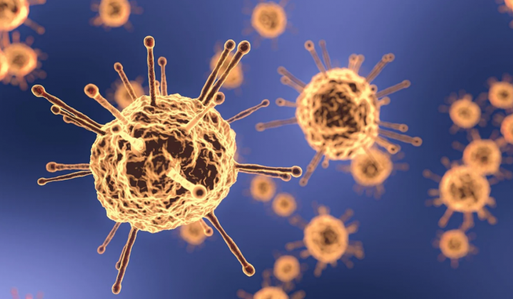 The coronavirus