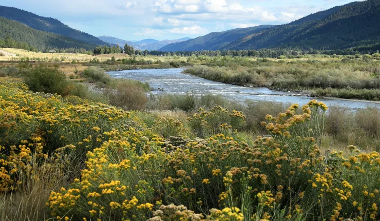 A winding river