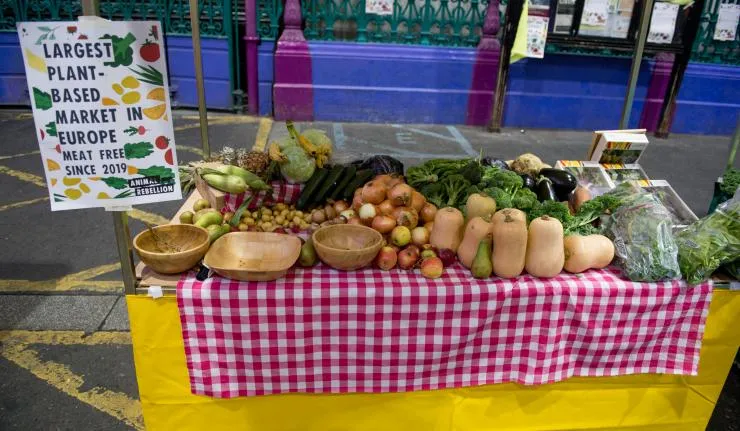 Plant-based market in Europe
