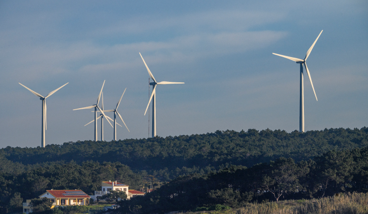 Windmills behind the trees