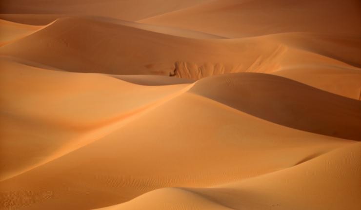 The sand dunes of a desert