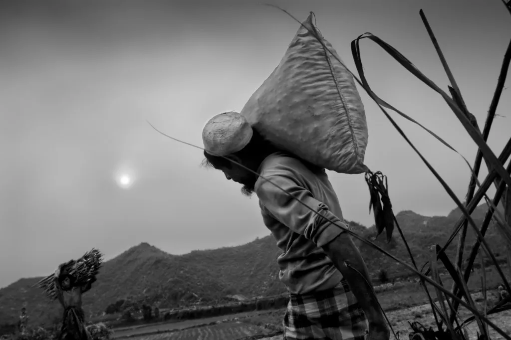 After collecting wood from a nearby hill, a Rohingya refugee walks back to the camp.