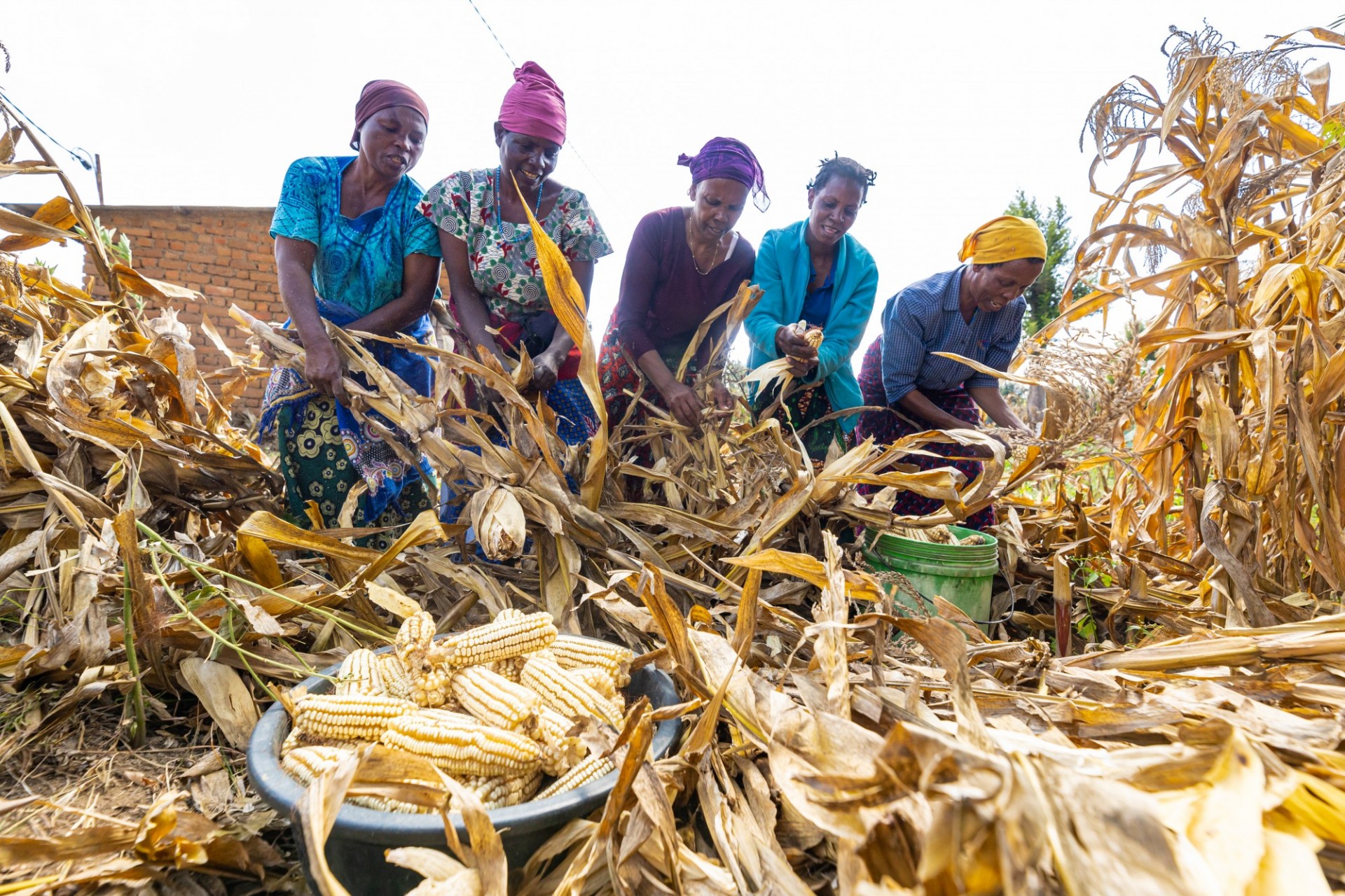 Tanzania - Reversing Land Degradation trends and increasing Food Security in degraded ecosystems of semi-arid areas of Tanzania (LDFS) – July 2023