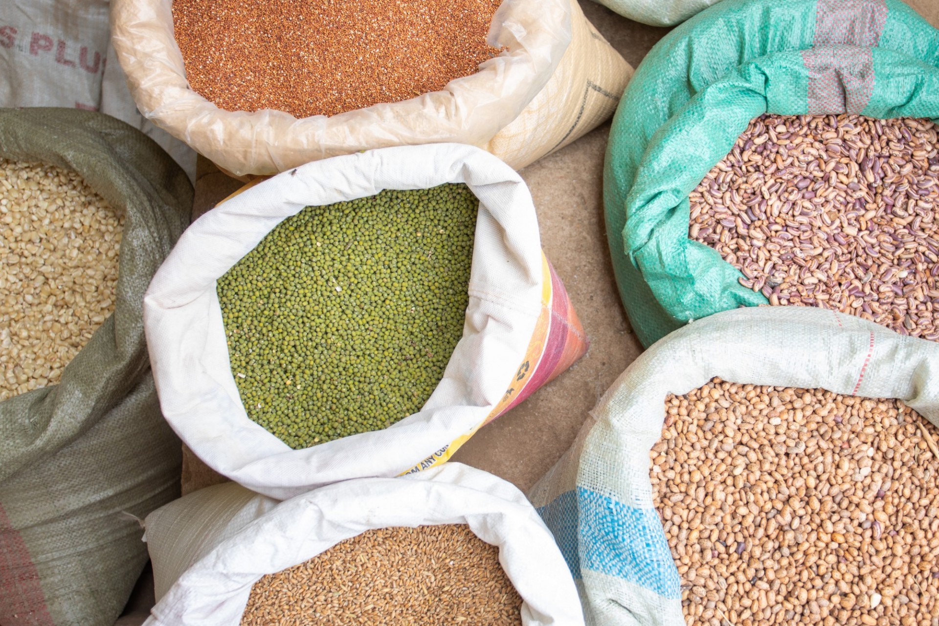 ©IFAD/Isaiah Muthui