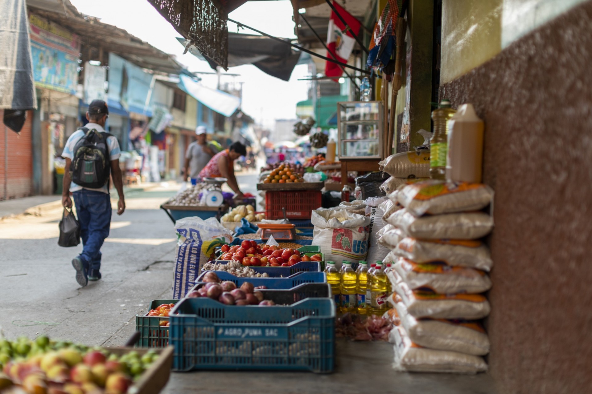 Peru - Rural Poor Stimulus Facility (RPSF): AGRIdigitalización – August 2022