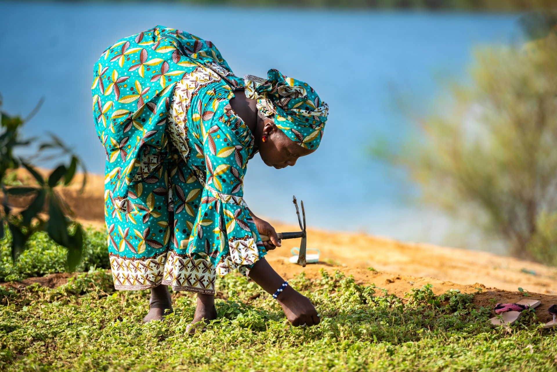 ©IFAD/Ibrahima Kebe Diallo